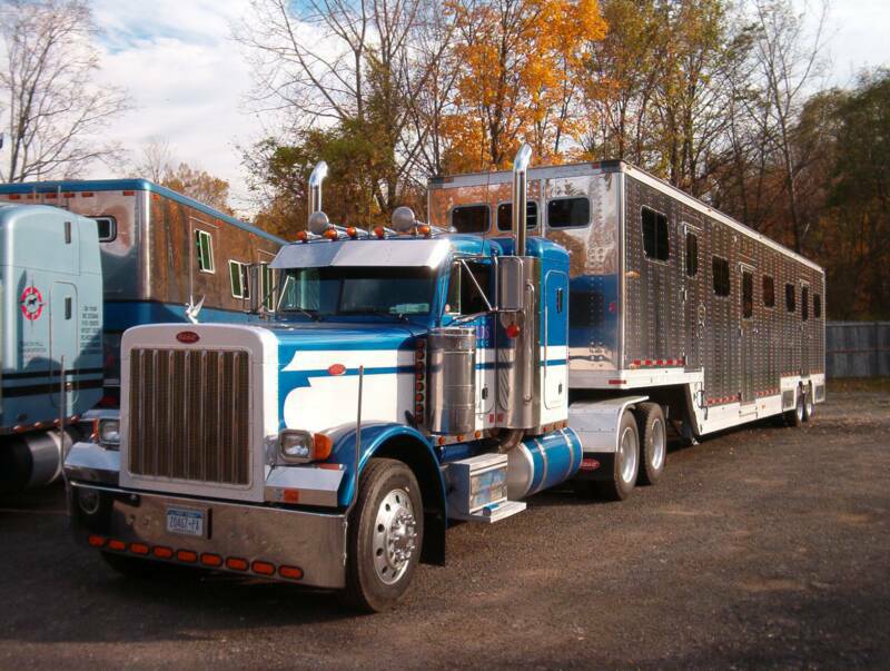Beacon Hill Horse Transportation OO Reynolds &  13618A